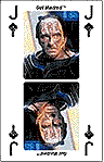 Click to put one Set '32 TNG Cards' in your Shopping-Shuttle